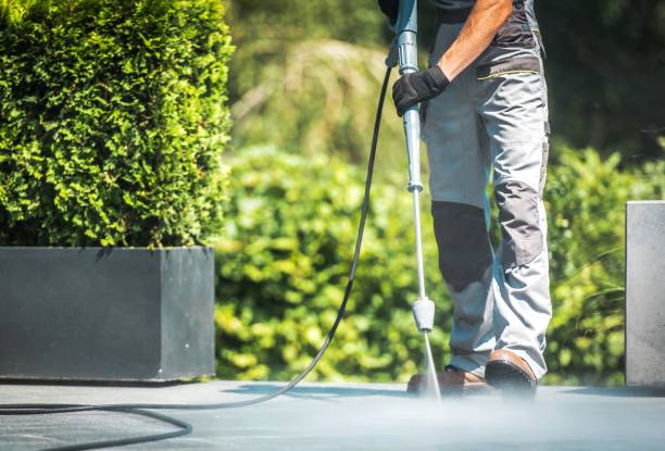 Best Warehouse Cleaning  in Owosso, MI