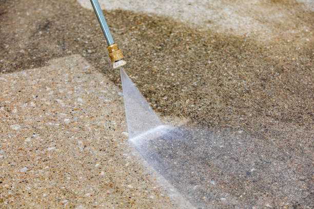 Best Pre-Holiday Cleaning  in Owosso, MI